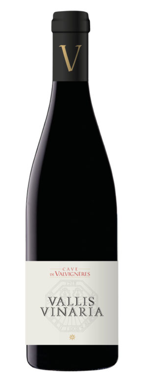 VALLIS VINARIA 2022