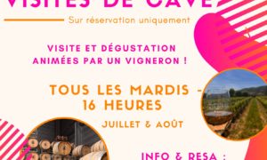 Visites de cave ! Gratuites